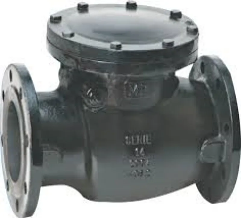 Valvula de retenção inox - imagem 3